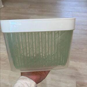 Plastic Storage Fruit & Veggie Container with Removable Green Insert